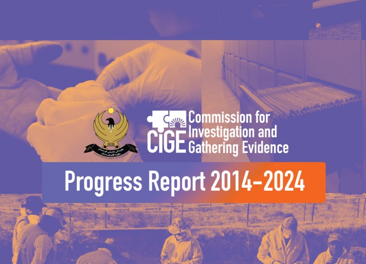 Commission for Investigation and Gathering Evidence: Progress Report 2014 - 2024