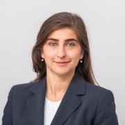 Anca-Elena Ursu